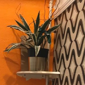 Meet your Posher, Quynh